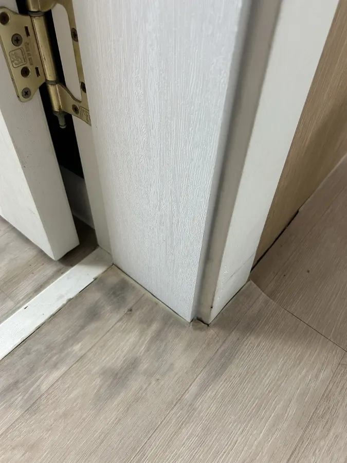 몰딩 수리 서비스